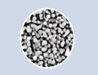 1101a ½ñÄê»á¡¤jnh(ÖйúÇø)¹Ù·½ÍøÕ¾Èë¿Ú