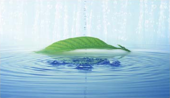 taoci_01 ÌÕ´ÉĤÀûÓãºÉúÎï¡¢Ò½Ò©ÐÐÒµ